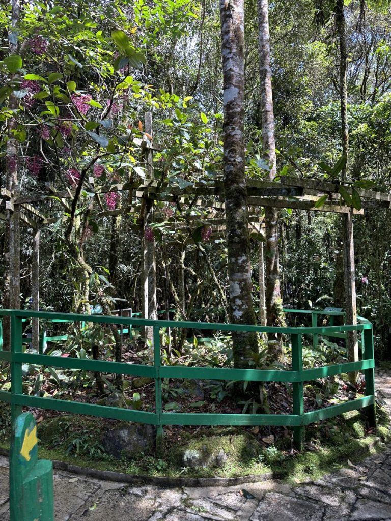Kinabalu National Park. Picture by June Ramli.